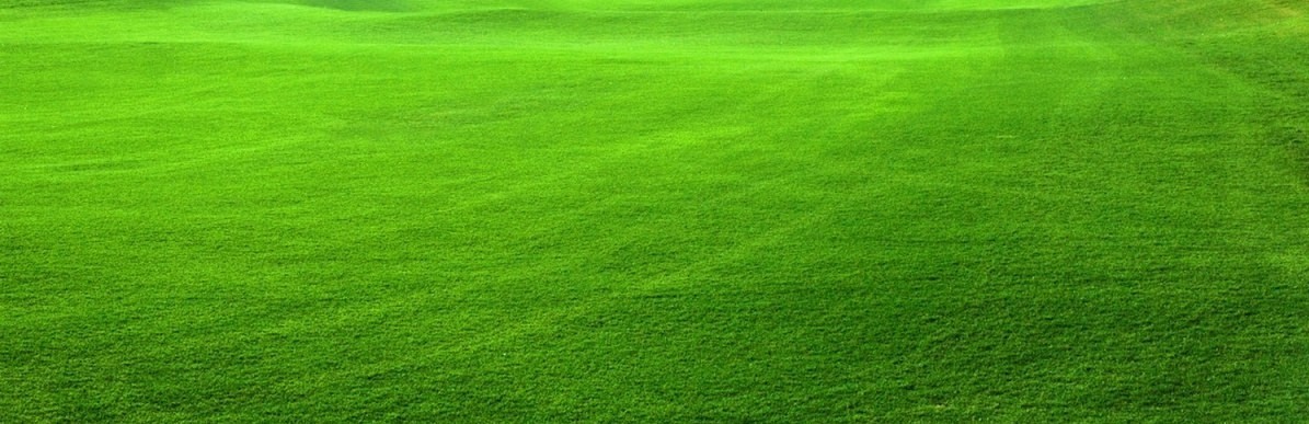 http://n.b5z.net/i/u/10007882/i/pdir/54/i/1-3a_landscape_lawn_mowing_service_maintenance_care_gardening_yard_folsom_el_dorado_hills_sacramento.jpg?bd=27